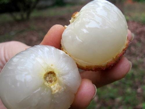 Sotaydulich Sotay Dulich Khampha Kham Pha Bui Luc ngan mua vai chin
