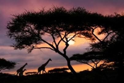 Sotaydulich Sổ tay du lịch Sổ tay du lịch so tay du lich Sotay Dulich Khampha Kham Pha Bui Malawi Di dau cung me