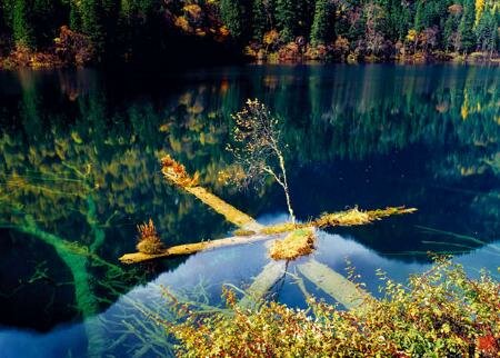 Sotaydulich Sổ tay du lịch so tay du lich Sotay Dulich Khampha Kham Pha Bui Cuu Trai Chau hoang so hung vi