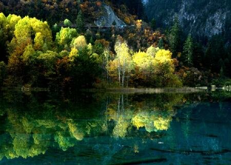 Sotaydulich Sổ tay du lịch so tay du lich Sotay Dulich Khampha Kham Pha Bui Cuu Trai Chau hoang so hung vi