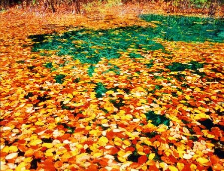 Sotaydulich Sổ tay du lịch so tay du lich Sotay Dulich Khampha Kham Pha Bui Cuu Trai Chau hoang so hung vi