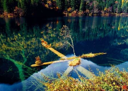 Sotaydulich Sổ tay du lịch so tay du lich Sotay Dulich Khampha Kham Pha Bui Cuu Trai Chau hoang so hung vi
