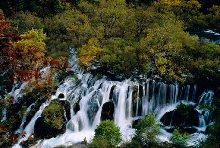 Sotaydulich Sổ tay du lịch so tay du lich Sotay Dulich Khampha Kham Pha Bui Cuu Trai Chau hoang so hung vi