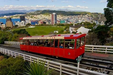 Sotaydulich Sổ tay du lịch so tay du lich Sotay Dulich Khampha Kham Pha Bui Mien dat trong mo Wellington