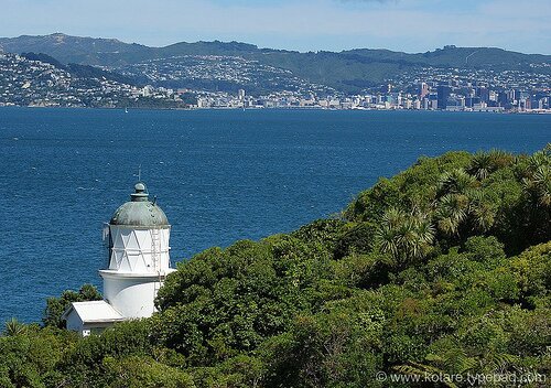 Sotaydulich Sổ tay du lịch so tay du lich Sotay Dulich Khampha Kham Pha Bui Mien dat trong mo Wellington