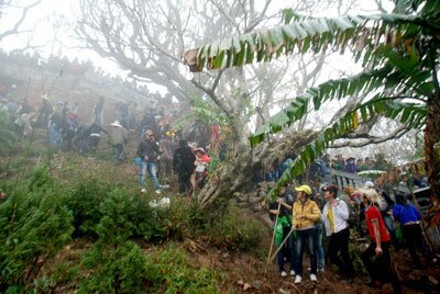 Sotaydulich Sổ tay du lịch so tay du lich Sotay Dulich Khampha Kham Pha Bui Yen Tu goc nhi du khach