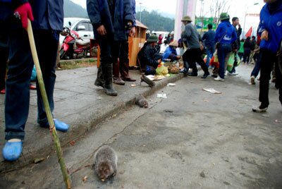 Sotaydulich Sổ tay du lịch so tay du lich Sotay Dulich Khampha Kham Pha Bui Yen Tu goc nhi du khach