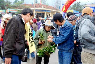Sotaydulich Sổ tay du lịch so tay du lich Sotay Dulich Khampha Kham Pha Bui Yen Tu goc nhi du khach