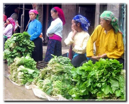  Sổ tay du lịch so tay du lich Sotaydulich Sotay Dulich Khampha Kham Pha Bui Shopping tren cao nguyen da Dong Van
