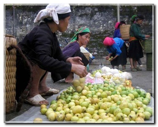  Sổ tay du lịch so tay du lich Sotaydulich Sotay Dulich Khampha Kham Pha Bui Shopping tren cao nguyen da Dong Van