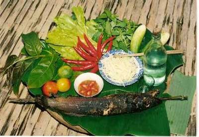 Sổ tay du lịch so tay du lich Sotaydulich Sotay Dulich Khampha Kham Pha Bui Ve miet vuon Vinh Long thuong thuc trai cay ca nuong