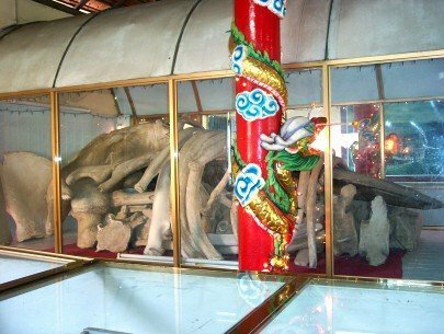 Sổ tay du lịch so tay du lich Sotaydulich Sotay Dulich Khampha Kham Pha Bui Dinh than Thang Tam o Vung Tau