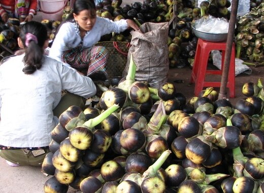 Sổ tay du lịch so tay du lich Sotaydulich Sotay Dulich Khampha Kham Pha Bui Ngam nai than di lac o Mui Nai