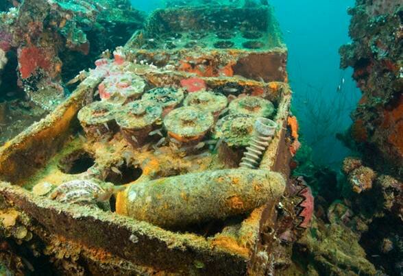 Sổ tay du lịch so tay du lich Sotaydulich Sotay Dulich Khampha Kham Pha Bui ce dep tu dao quoc Palau