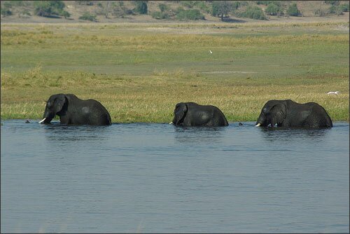 Sổ tay du lịch so tay du lich Sotaydulich Sotay Dulich Khampha Kham Pha Bui Nhung diem du lich hang dau o Namibia
