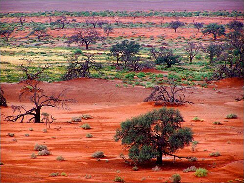 Sổ tay du lịch so tay du lich Sotaydulich Sotay Dulich Khampha Kham Pha Bui Nhung diem du lich hang dau o Namibia