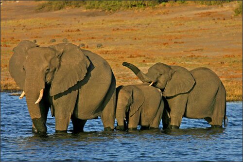 Sổ tay du lịch so tay du lich Sotaydulich Sotay Dulich Khampha Kham Pha Bui Nhung diem du lich hang dau o Namibia