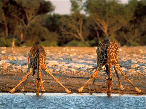Sổ tay du lịch so tay du lich Sotaydulich Sotay Dulich Khampha Kham Pha Bui Nhung diem du lich hang dau o Namibia