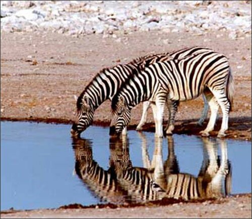 Sổ tay du lịch so tay du lich Sotaydulich Sotay Dulich Khampha Kham Pha Bui Nhung diem du lich hang dau o Namibia