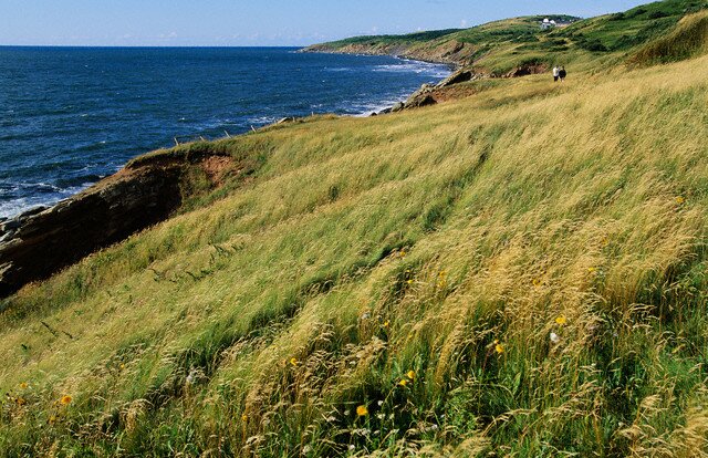  Sổ tay du lịch so tay du lich Sotaydulich Sotay Dulich Khampha Kham Pha Bui Nova Scotia Thien duong ha gioi