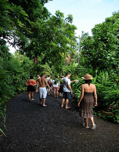 Sổ tay du lịch so tay du lich Sotaydulich Sotay Dulich Khampha Kham Pha Bui Reunion su lua chon hoan hao