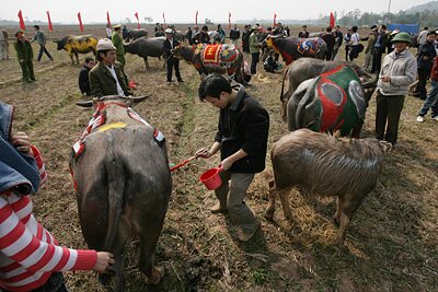 Sổ tay du lịch so tay du lich Sotaydulich Sotay Dulich Khampha Kham Pha Bui Tranh trau Doi san Doc nhat vo nhi