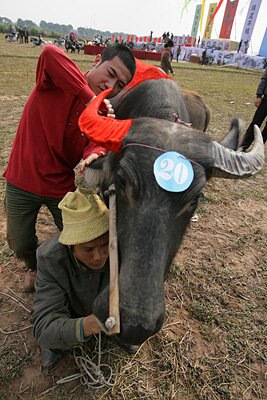 Sổ tay du lịch so tay du lich Sotaydulich Sotay Dulich Khampha Kham Pha Bui Tranh trau Doi san Doc nhat vo nhi