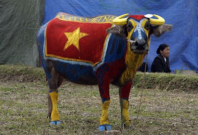 Sổ tay du lịch so tay du lich Sotaydulich Sotay Dulich Khampha Kham Pha Bui Tranh trau Doi san Doc nhat vo nhi