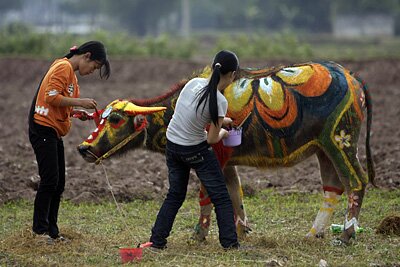 Sổ tay du lịch so tay du lich Sotaydulich Sotay Dulich Khampha Kham Pha Bui Tranh trau Doi san Doc nhat vo nhi