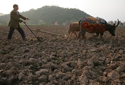 Sổ tay du lịch so tay du lich Sotaydulich Sotay Dulich Khampha Kham Pha Bui Tranh trau Doi san Doc nhat vo nhi