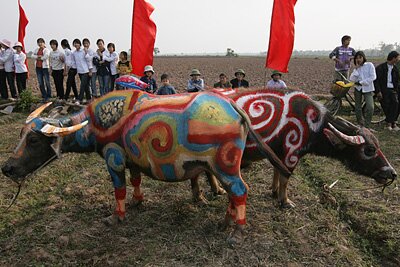 Sổ tay du lịch so tay du lich Sotaydulich Sotay Dulich Khampha Kham Pha Bui Tranh trau Doi san Doc nhat vo nhi
