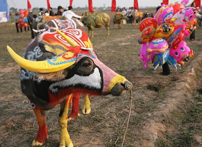 Sổ tay du lịch so tay du lich Sotaydulich Sotay Dulich Khampha Kham Pha Bui Tranh trau Doi san Doc nhat vo nhi