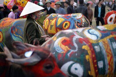 Sổ tay du lịch so tay du lich Sotaydulich Sotay Dulich Khampha Kham Pha Bui Tranh trau Doi san Doc nhat vo nhi