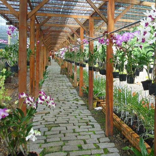 Sổ tay du lịch so tay du lich Sotaydulich Sotay Dulich Khampha Kham Pha Bui Vuot deo Chuoi tham tram Huou va Lan