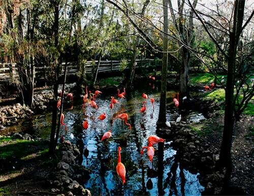  Sổ tay du lịch so tay du lich Sotaydulich Sotay Dulich Khampha Kham Pha Bui Kham pha Crystal River