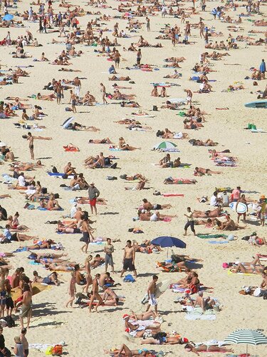  Sổ tay du lịch so tay du lich Sotaydulich Sotay Dulich Khampha Kham Pha Bui Bondi Beach Dia diem tron dong ly tuong