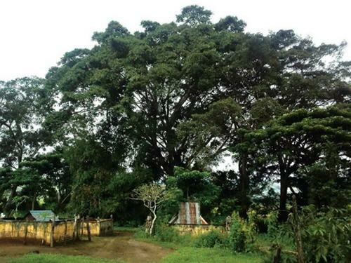 Sổ tay du lịch so tay du lich Sotaydulich Sotay Dulich Khampha Kham Pha Bui Den tham lang Donde