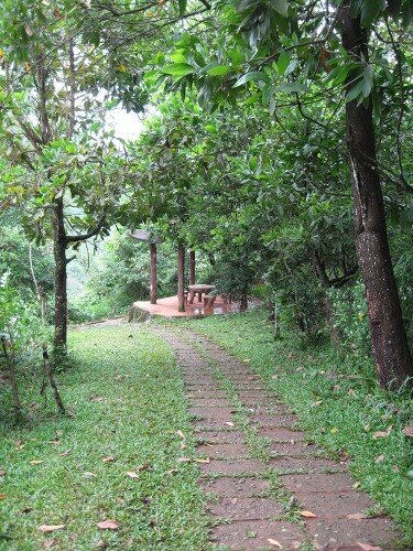 Sổ tay du lịch so tay du lich Sotaydulich Sotay Dulich Khampha Kham Pha Bui Thac Bobla hung vi giua thien nhien
