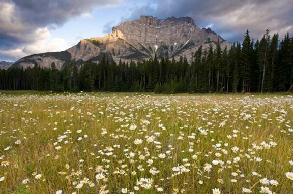  Sổ tay du lịch so tay du lich Sotaydulich Sotay Dulich Khampha Kham Pha Bui Vuon quoc gia Banff ve dep day mau sac