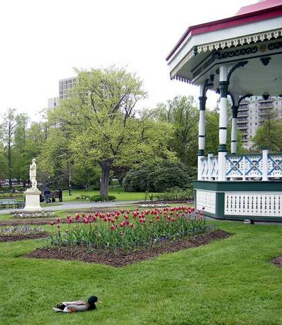 Sổ tay du lịch so tay du lich Sotaydulich Sotay Dulich Khampha Kham Pha Bui Lac vao tien canh Public Garden