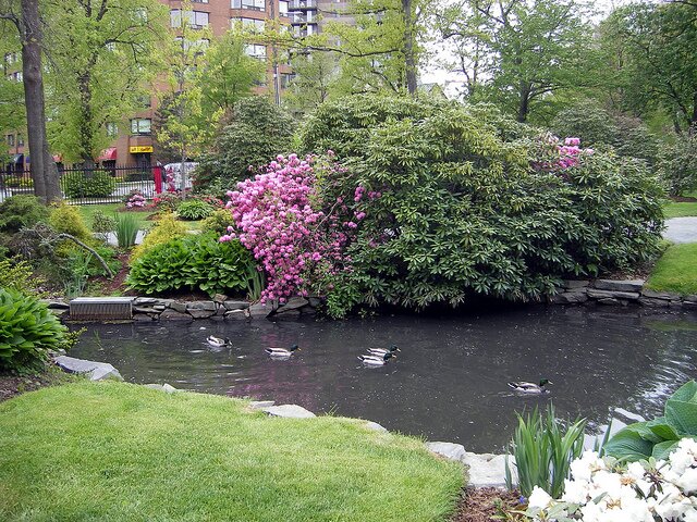 Sổ tay du lịch so tay du lich Sotaydulich Sotay Dulich Khampha Kham Pha Bui Lac vao tien canh Public Garden