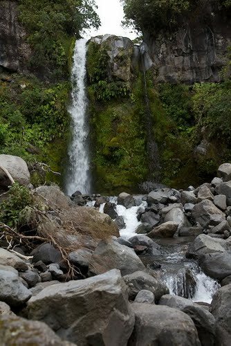 Sổ tay du lịch so tay du lich Sotaydulich Sotay Dulich Khampha Kham Pha Bui Leo nui va luot song o Taranaki