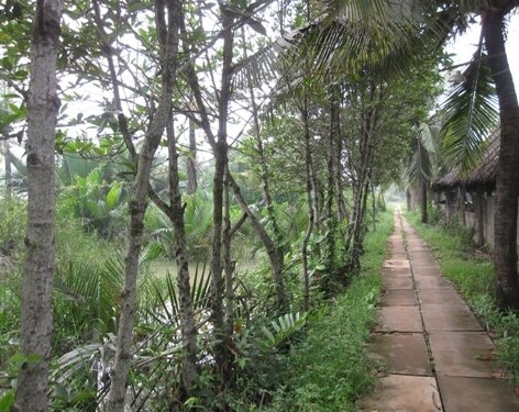 Sổ tay du lịch so tay du lich Sotaydulich Sotay Dulich Khampha Kham Pha Bui Ghe vuon dua an hat methi