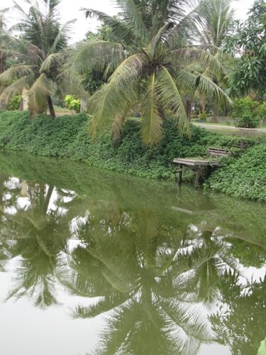 Sổ tay du lịch so tay du lich Sotaydulich Sotay Dulich Khampha Kham Pha Bui Ghe vuon dua an hat methi