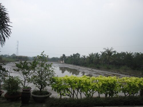 Sổ tay du lịch so tay du lich Sotaydulich Sotay Dulich Khampha Kham Pha Bui Ghe vuon dua an hat methi