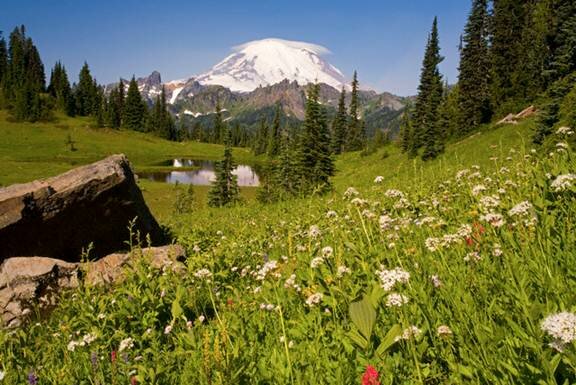  Sổ tay du lịch so tay du lich Sotaydulich Sotay Dulich Khampha Kham Pha Bui An tuong vuon quoc gia Mount Rainier