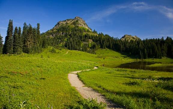  Sổ tay du lịch so tay du lich Sotaydulich Sotay Dulich Khampha Kham Pha Bui An tuong vuon quoc gia Mount Rainier