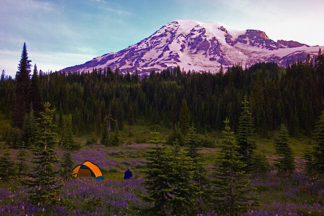  Sổ tay du lịch so tay du lich Sotaydulich Sotay Dulich Khampha Kham Pha Bui An tuong vuon quoc gia Mount Rainier