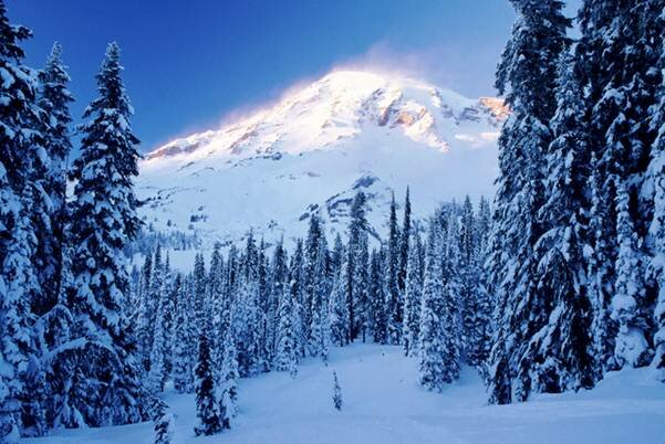  Sổ tay du lịch so tay du lich Sotaydulich Sotay Dulich Khampha Kham Pha Bui An tuong vuon quoc gia Mount Rainier