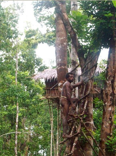Sổ tay du lịch so tay du lich Sotaydulich Sotay Dulich Khampha Kham Pha Bui Den Indonesia gap bo lac dung nha tren cay giua rung gia